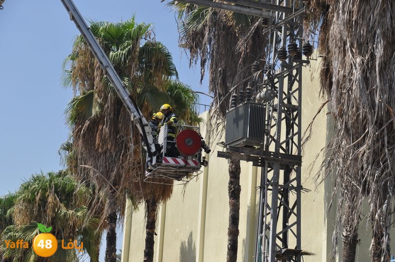 cat lud 910 (20).JPG